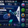 Sunjoy Citkolin-P 30 Kapsül