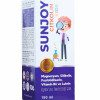 Sunjoy Citkolin Kids